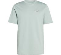 adidas Color Icon Graphic Trainingsshirt Herren KT4442 - wonder sage S