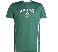 ADIDAS D4T LEGACY TEE Herren | CGREEN/CWHITE | L