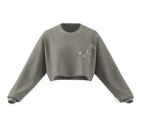 Adidas Damen adi365 Crop Longsleeve S grau