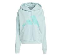 adidas Damen Essentials Big Logo French Terry Loose Hoodie, Halo Mint/Flash Aqua, XL