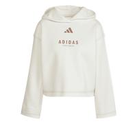 Adidas All Szn Loose Graphic Kapuzenpullover (Herstellerartikelnummer: JJ4517/M)