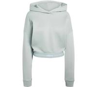 Hyperglam Cropped Hoodie Wonder Sage 2XL