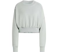 Weiches Lux Loose Sweatshirt Wonder Sage 2XS