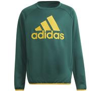 Adidas Designed To Move Big Logo Sweatshirt Jungen Sweatshirt, grün 176