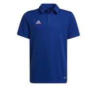 adidas Entrada 22 Poloshirt Kids Blau 116 blau