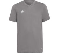 adidas ENTRADA22 Tee Youth team grey four (AE2C) 116
