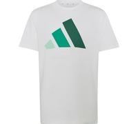 adidas Essentials 160 Kinder T-Shirts weiss Größe 176 Lifestyle Widerstandsfähig