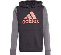 Adidas Essentials Big Logo Colorblock Kinder Kapuzensweater, schwarz 128