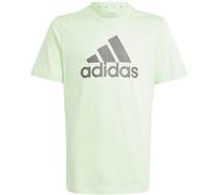 Adidas Essentials Big Logo Cotton T-Shirt Kinder T-Shirt, grün 152
