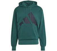 Adidas Essentials Big Logo French Terry Herren Kapuzensweater, grün, Gr. M