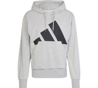 Adidas Essentials Big Logo French Terry Kapuzenpullover XS Medium Grey Heather / Black