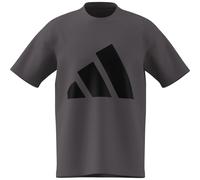 Adidas Herren Essentials Big Logo Single Jersey Tee, Grey strata/Black, M