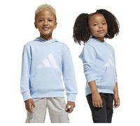 Adidas Essentials Big Logo Kapuzenpullover