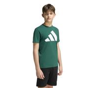 Adidas Essentials Big Logo Kurzarm-t-shirt