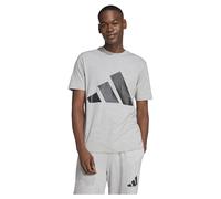 Adidas Essentials Big Logo Kurzarm-t-shirt