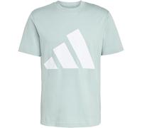adidas Men's Essentials Big Logo Single Jersey Tee, Wonder Sage/White, XL