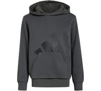 adidas Essentials Hoodie ältere Kinder KT3375 - grey six/black 128