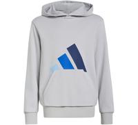 adidas Essentials Kinder Hoodies grau Größe 140 Lifestyle Hautfreundlich