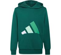 Kapuzensweatshirt ADIDAS SPORTSWEAR "ESSENTIALS KIDS HOODIE", Mädchen, Gr. 152, grün (collegiate grün, weiß, clear mint, court grün), Obermaterial: 55% Baumwolle, 36% Polyester, 9% Viskose, normal, Ru