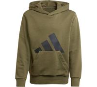 Adidas Essential Hoodie Kinder | grün | Kinder | 152 | JC9675 152