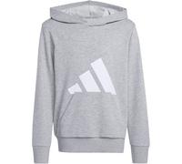 Essentials Kids Hoodie Medium Grey Heather / White 176