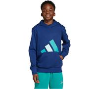 Kapuzensweatshirt ADIDAS SPORTSWEAR "J BL FT HD 280", Kinder, Gr. 164, dunkelblau, pure teal, halo mint, Obermaterial: 55% Baumwolle, 36% Polyester, 9% Viskose, Sportlich, Sweatshirts (95591312-164) d
