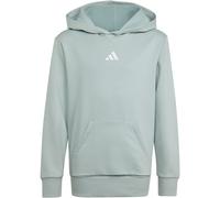 Kapuzensweatshirt ADIDAS SPORTSWEAR "ESSENTIALS KIDS HOODIE", Mädchen, Gr. 152, wonder sage, weiß, Obermaterial: 71% Baumwolle, 29% Polyester, normal, Rundhals, angesetztes Bündchen, Sweatshirts (5537
