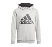 adidas Essentials Hoody Kids Grau Schwarz 110 grau