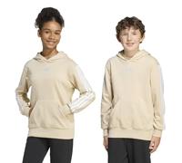 Adidas Essentials Kapuzenpullover