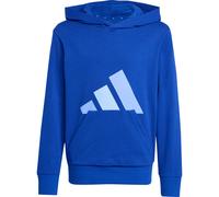 Adidas Essentials Kapuzenpullover
