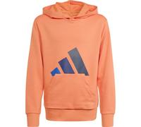 adidas Essentials Kinder Hoodies orange Größe 164 Lifestyle Hautfreundlich