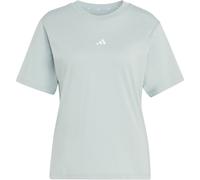 adidas Essentials Small Logo Cotton T-shirt wonder sage-white (AED6) 2XL
