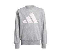 adidas Essentials Sweatshirt Kinder-Grau,Weiß in grau, Größe: 170 (nur noch wenige Artikel verfügbar)
