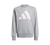 adidas Essentials Sweatshirt Kinder-Grau,Weiß in grau, Größe: 170 (nur noch wenige Artikel verfügbar)