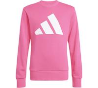 Sweatshirt ADIDAS SPORTSWEAR "JG BL FT SWT", Kinder, Gr. 164, pink (pink fusion, weiß), Obermaterial: 55% Baumwolle, 36% Polyester, 9% Viskose, sportlich, Rundhals, Sweatshirts (17613900-164) pink fus