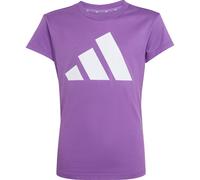 adidas Essentials T-shirt active purple-white (AC37) 152