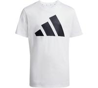 adidas Unisex Kinder Essentials Big Logo Shirt, White/Black, 13-14 Years