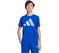 adidas Essentials T-Shirt Kinder JV9866 - team royal blue/blue fusion/glow blue 128
