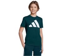 adidas Essentials T-Shirt Kinder JV9871 - aurora ivy/white 140