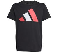Adidas Unisex Kids Essentials Big Logo T-Shirt, Black/Pure Ruby/White, 13-14 Years