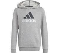 Adidas Essentials Two-Colored Big Logo Cotton Kinder Kapuzensweater, grau 164