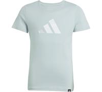 adidas Girl's Everyday Glam Graphic T-Shirt JUNIOR, Wonder Sage, 8-9 Years