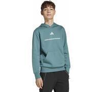adidas Fleece Jr - Kapuzenpullover - Jungs 9-10A Green