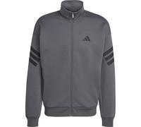 adidas Herren Future Icons Pullover (Größe M, grau)