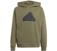 Adidas Future Icons Logo Hoodie Kinder Kapuzensweater, grün 128