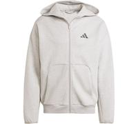 ADIDAS Herren Kapuzensweat Future Icons Small Logo (JD4945) XXL MGREYH