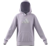 adidas Girl's Glam Graphic Hoodie JUNIOR, Ice Lavender/Ice Gold Met., 13-14 Years