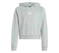 adidas Girl's Junior Girl Holiday Glam Cropped Sweatshirt, Wonder Sage/Silver met., 13-14 Years