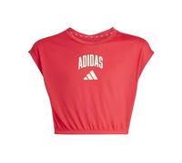 adidas Girl's Seasonals Collegiate Typography T-Shirt, Pure Ruby/Off White, 14-15 Years