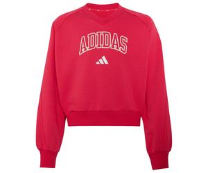 adidas - Girl's Seasonals Collegiate Typography V-Neck - Pullover, Gr. 164, rot (PowerPink/White)